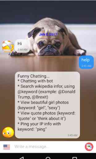 Chat de Sumi - Funny Chatbot 3