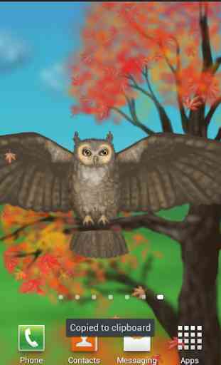 Owl of a Season Live Wallpaper 4