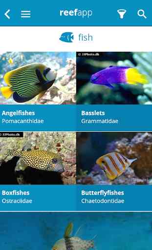 Reef App - Encyclopedia 2