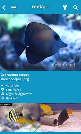 Reef App - Encyclopedia 3