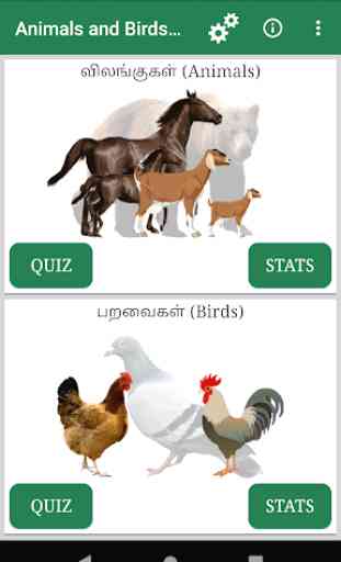 Learn Animals and Birds in Tamil - Quiz 1