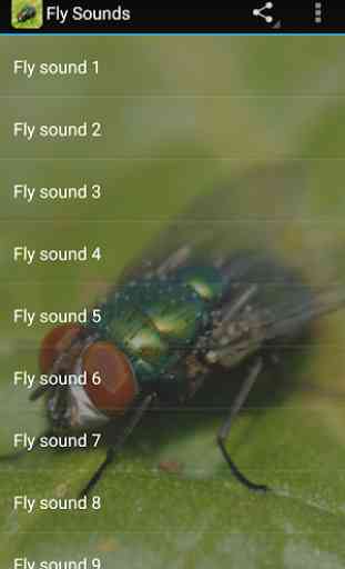 Fly Sounds 1