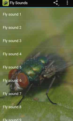 Fly Sounds 3