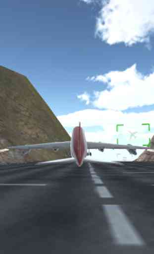 Flight Simulator Airplane 4