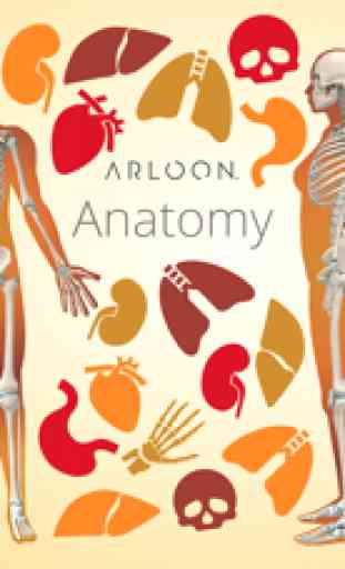 Arloon Anatomy 1