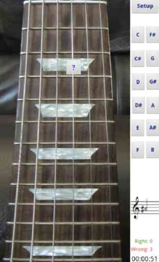 Electric Guitar Fretboard 1