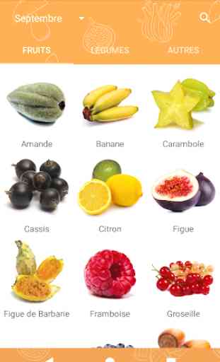 Fruits et légumes de saison 2