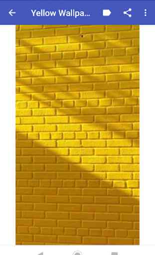 Yellow Wallpapers 2