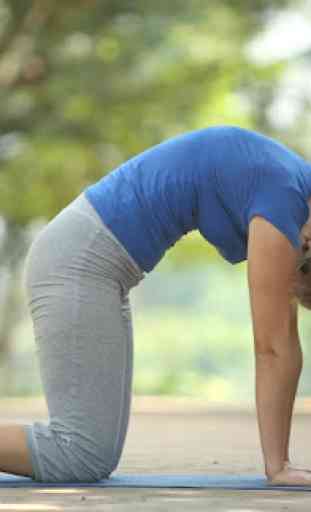 Yoga para Principiantes 3
