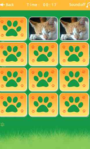 Cats Memory Match Game 2