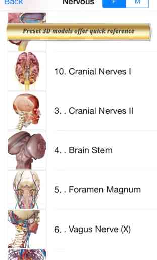 Brain and Nervous Anatomy Atlas: Essential Reference for Students and Healthcare Professionals 2