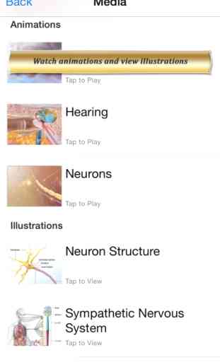 Brain and Nervous Anatomy Atlas: Essential Reference for Students and Healthcare Professionals 4