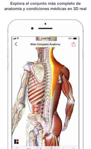 3D Human Anatomy & Disease 1