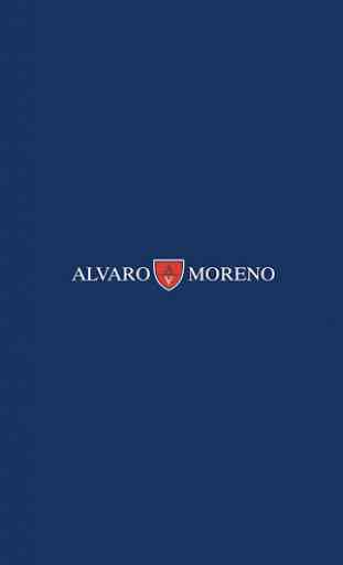 Alvaro Moreno - Tienda Online 1