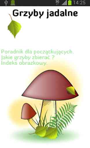 Edible Fungi 3