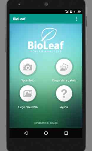 BioLeaf - Foliar Analysis 1