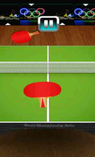 Ping Pong Table Tennis 3