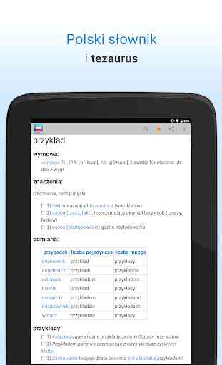 Polski Słownik 4