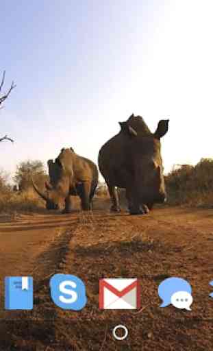 Rhino beso de pantalla en vivo 4