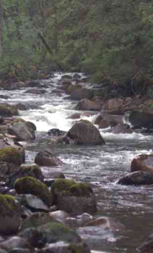 Stormy mountain river 2