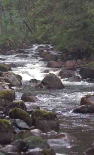 Stormy mountain river 3