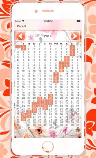 Osito - Calendario menstrual 3