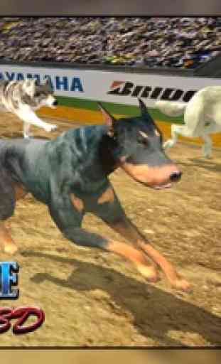 Galgo de la raza del perro 3D - juego de carreras 1