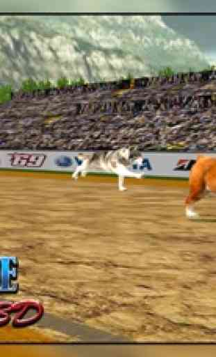 Galgo de la raza del perro 3D - juego de carreras 4