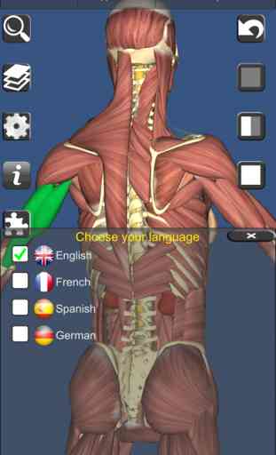 3D Anatomy Learning 4