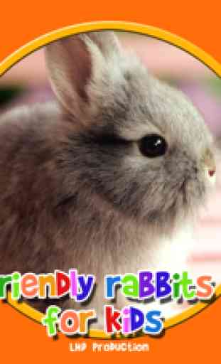 conejo agradable para todos los niños - juego libre 4