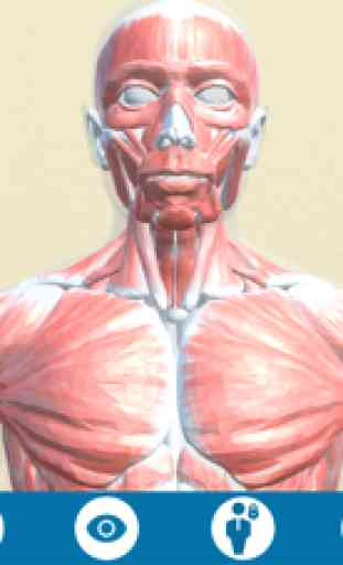Mi Cuerpo Humano en 3D 1