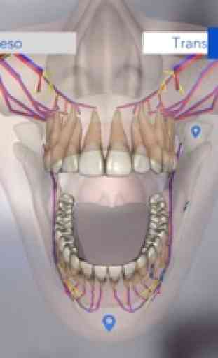 Dental Simulator 2