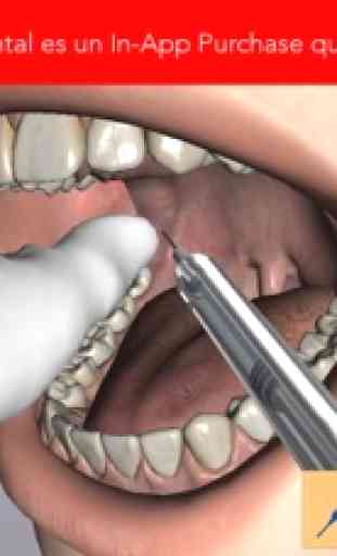 Dental Simulator 4