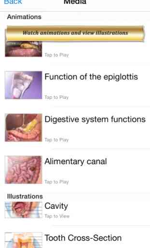 Digestive Anatomy Atlas: Essential Reference for Students and Healthcare Professionals 4