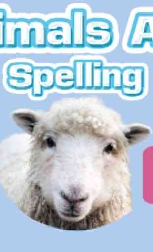 Animal A-Z English Spelling 1