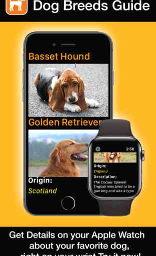 Dog Breeds Watch Guide 2