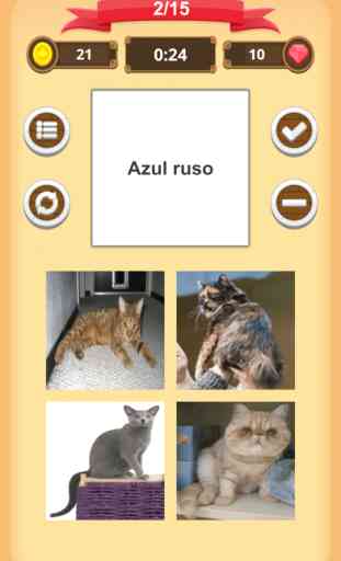 Gatos - Quiz 3