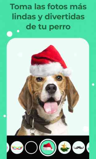 La app de tu perro - Dogo 3