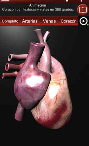 Sistema Circulatorio en 3D 1