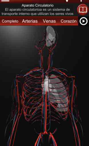 Sistema Circulatorio en 3D 2