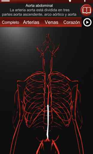 Sistema Circulatorio en 3D 3