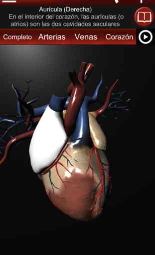 Sistema Circulatorio en 3D 4