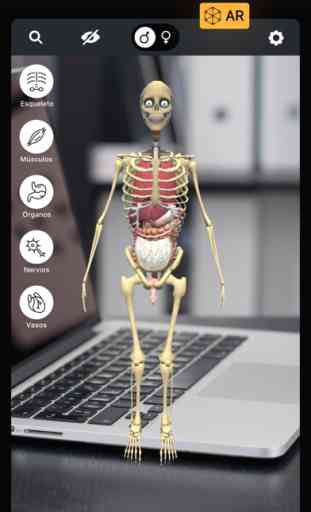 Atlas Anatomia - Cuerpo Humano 1