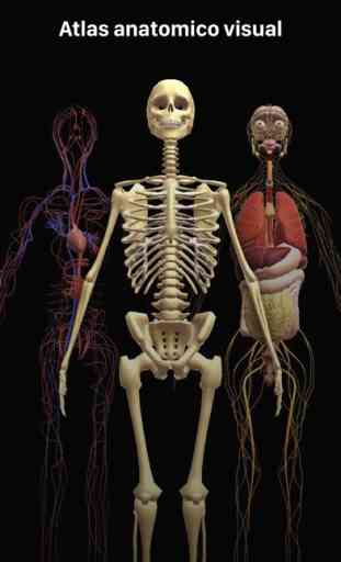 Atlas Anatomia - Cuerpo Humano 2