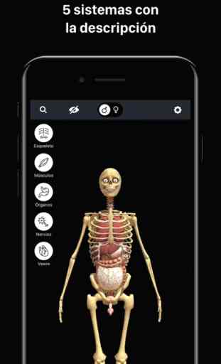 Atlas Anatomia - Cuerpo Humano 3