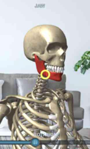 Virtual Skeleton 2