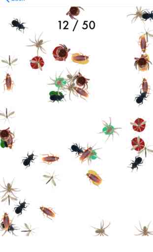 Plaga Insectos - Juego reloj 2