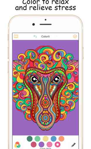 Colorful Coloring Book Art for Adults 1