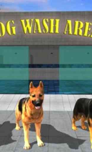 Dog Race & Stunts Wash Thru 2