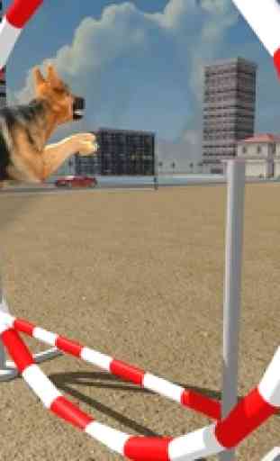Dog Race & Stunts Wash Thru 3